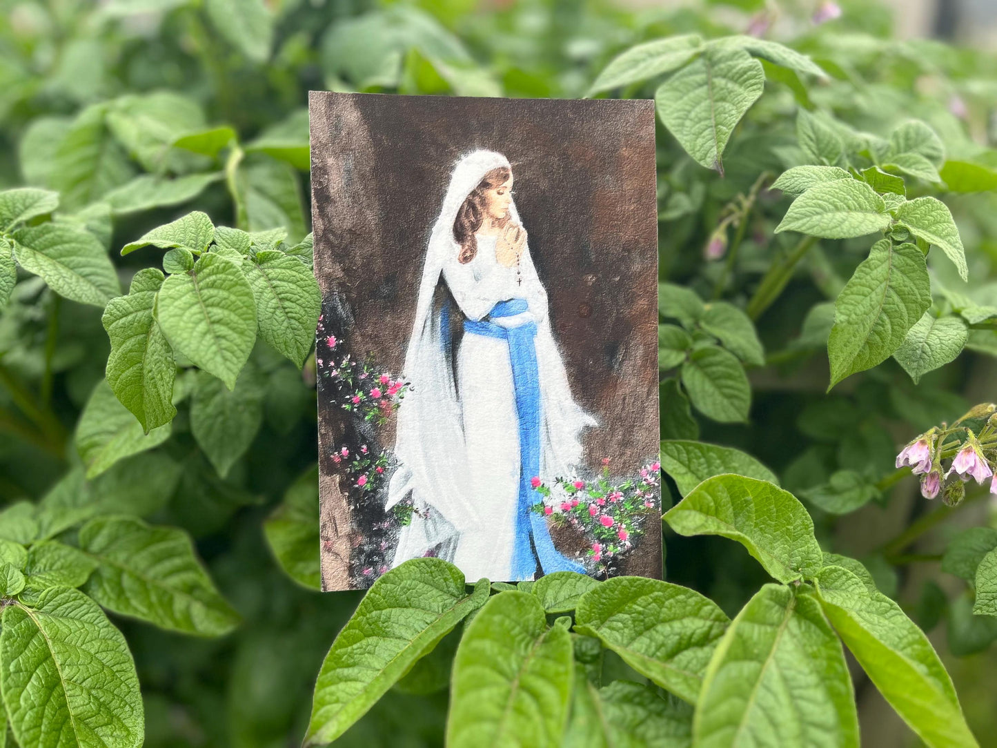 Immaculate Conception Print | Catholic Artwork | Virgin Mary | Catholic Gift | Catholic Godparent Gift | Our Lady | Mother Mary